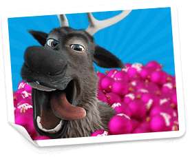 vera john online casino