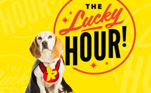 rizk casino free spins