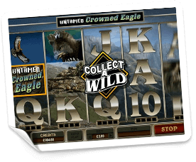 Untamed-Crowned-Eagle-slot