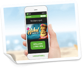 24hbet casino free spins