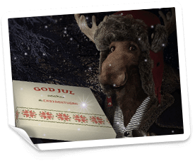 casinostugan free spins