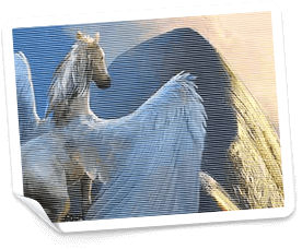 karl casino free spins