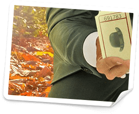 casino bonus på mr green casino