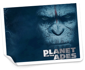 free spins på bethard casino