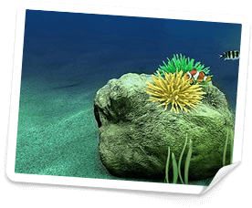 bonus på bwin casino