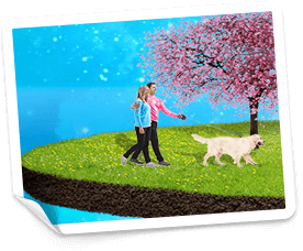 free spins på Vera John casino