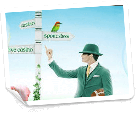 spelautomater på Mr Green casino