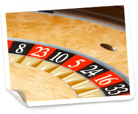 free spins på Buzzslots  casino