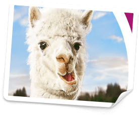 PlayOJO casino bonus