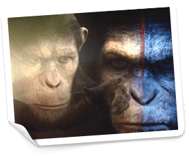 free spins på Spinson casino