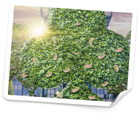 Mr Green casino nya svenska casino