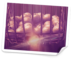 bethard casino bonus